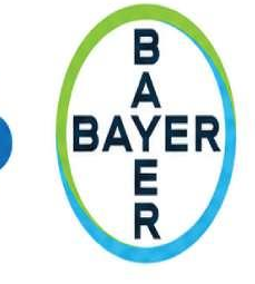 Bayer